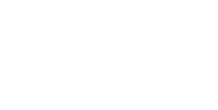 Het Lallebal!